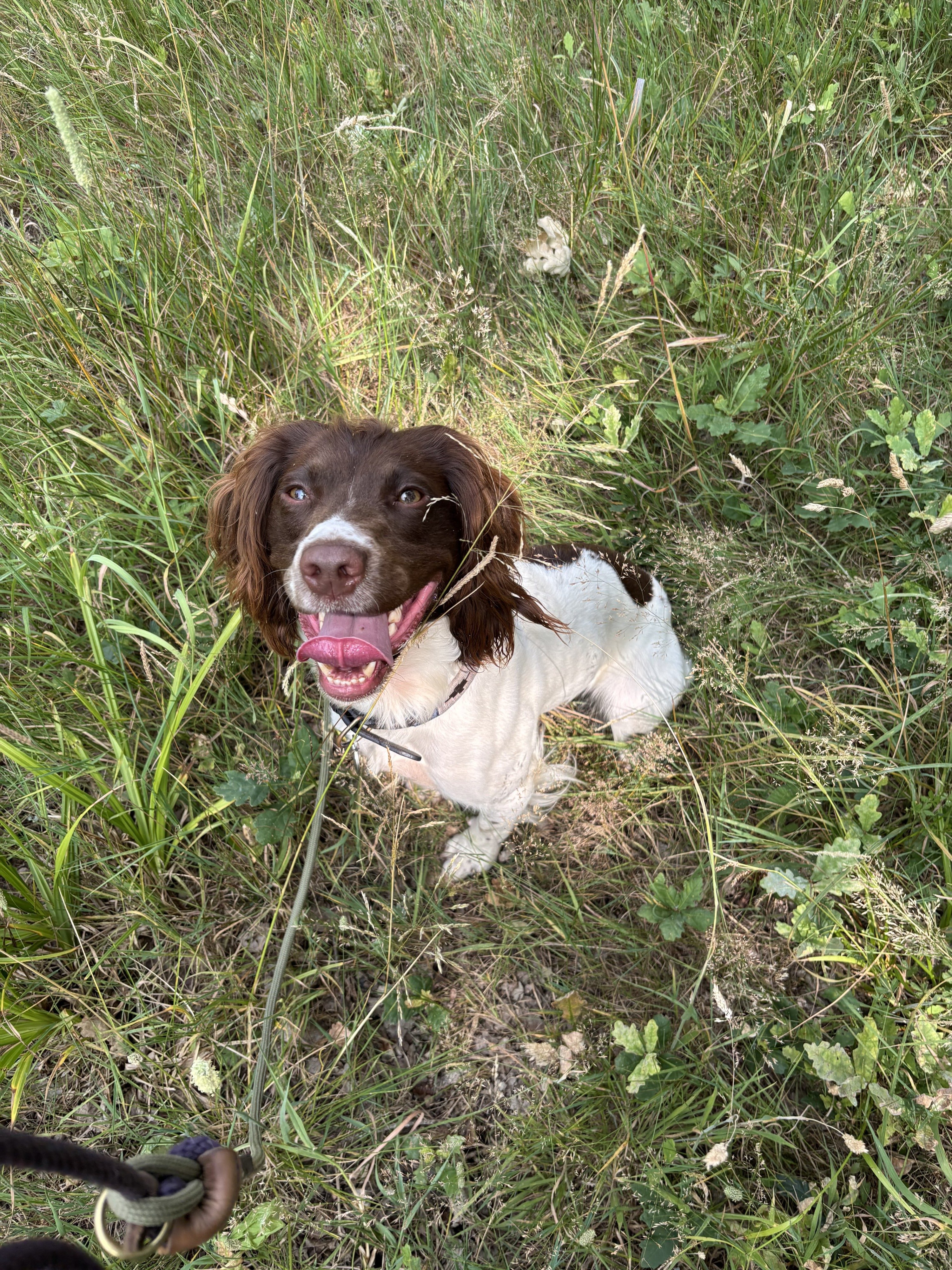 Ruby