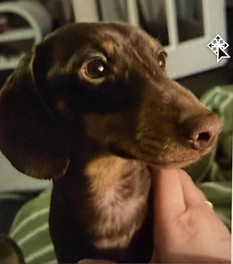 Otis