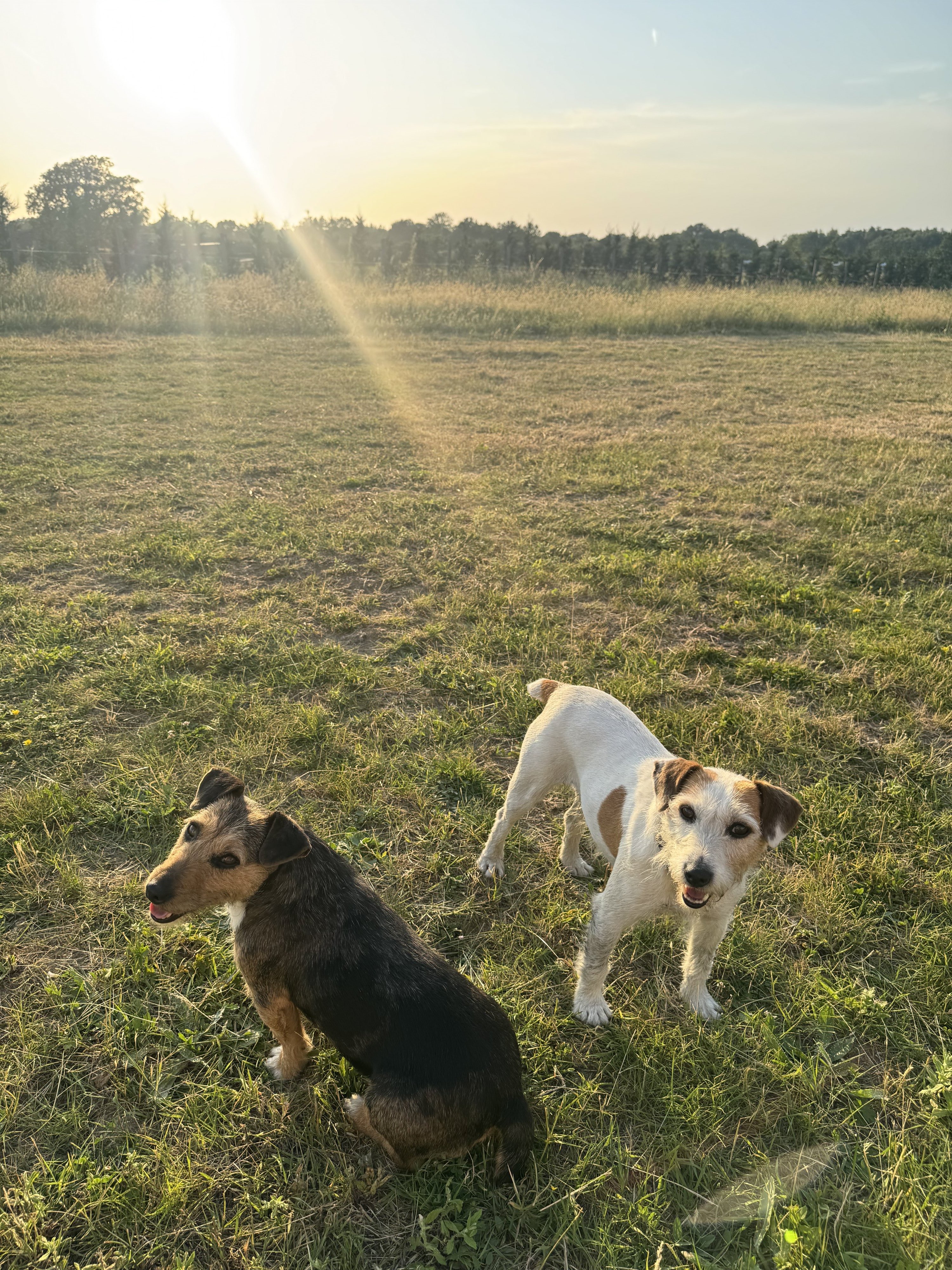 Millie & Ginny