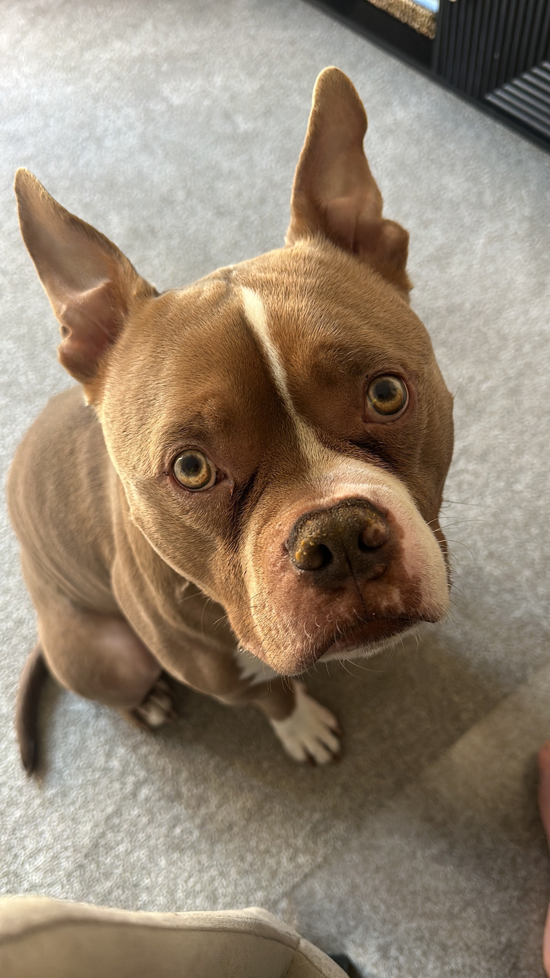 Bruce