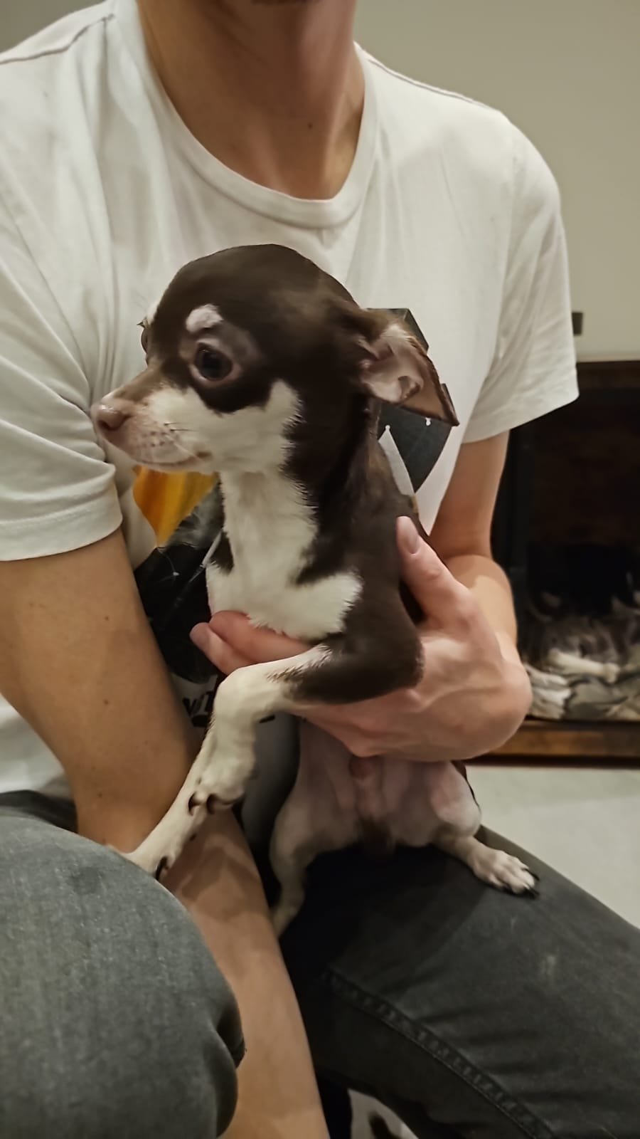 Dobbie