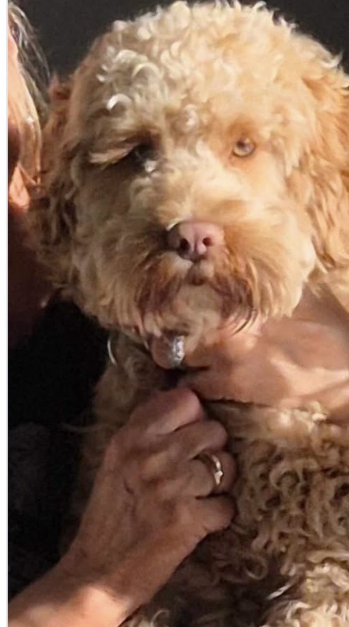 Milo
