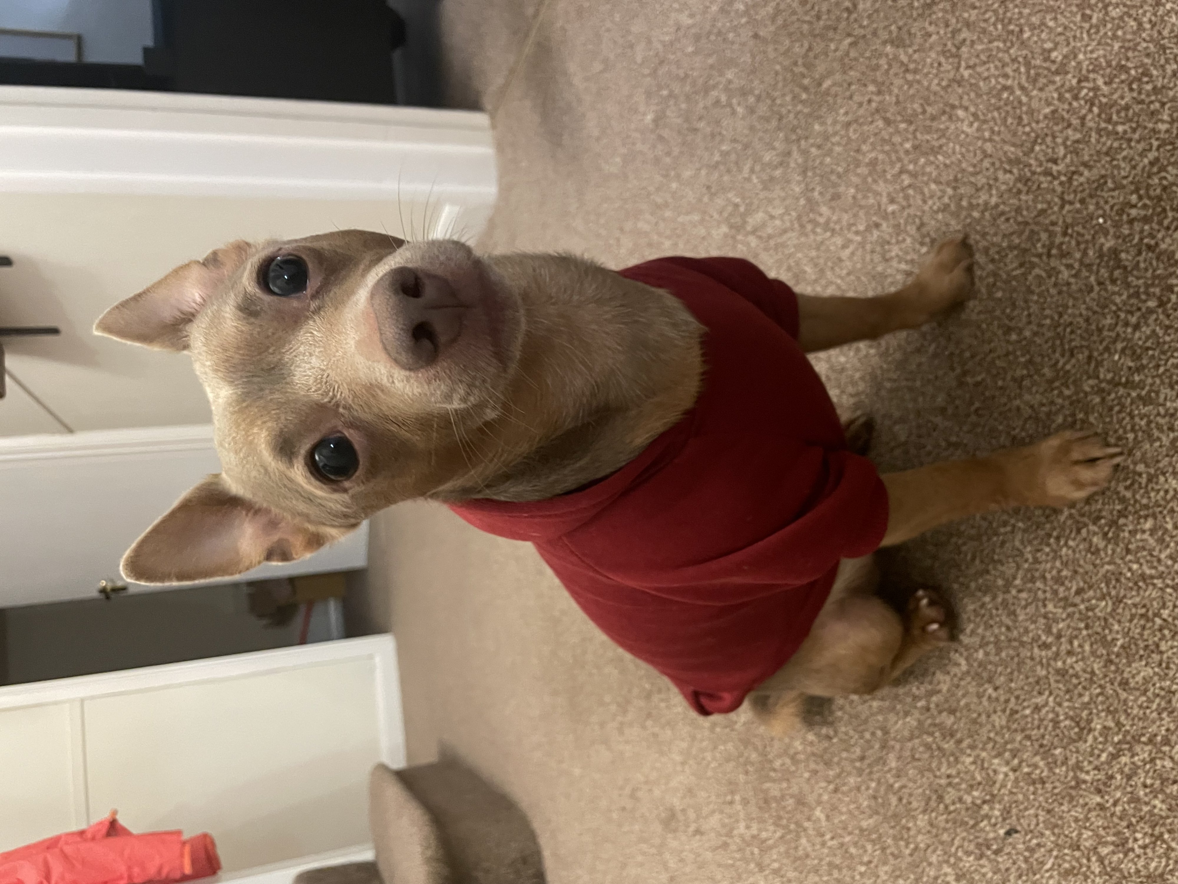 Reggie