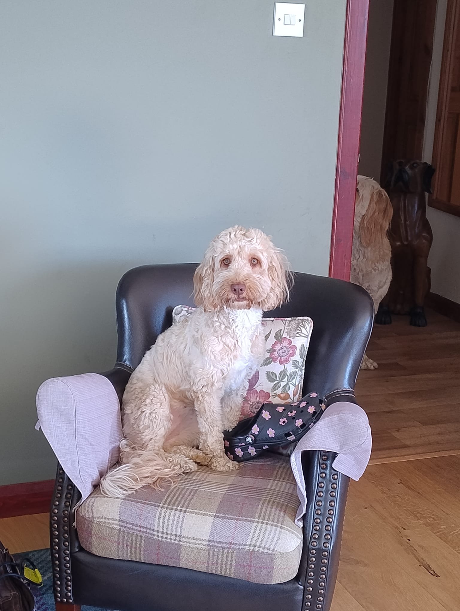 Winnie