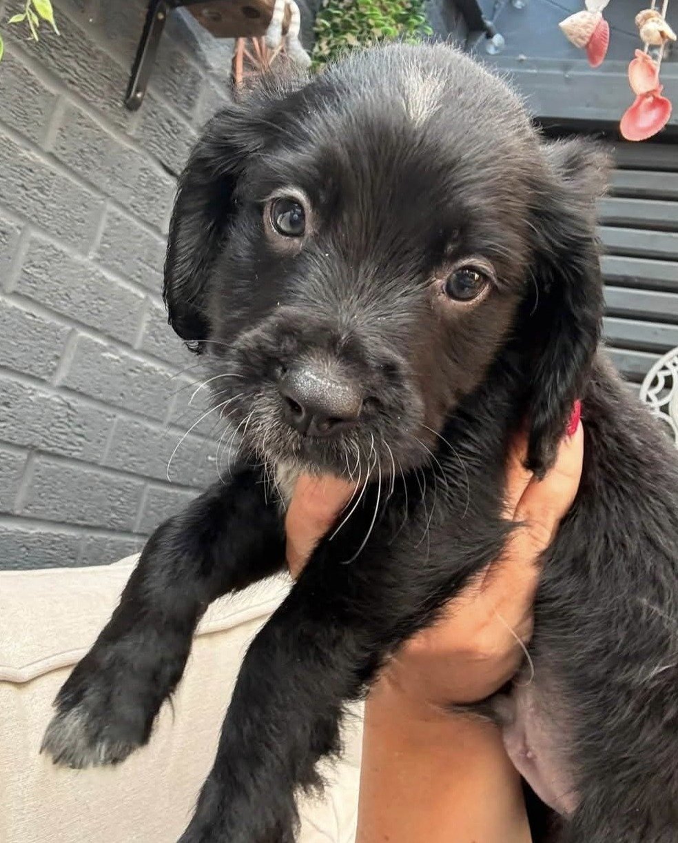 MURPHY
