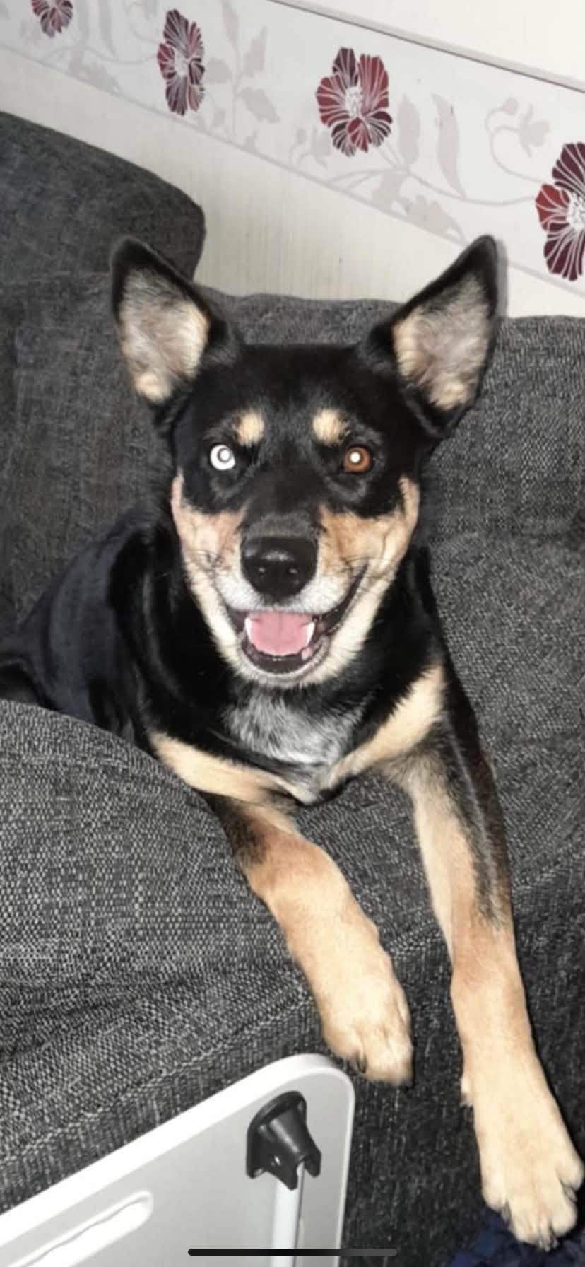 Freya