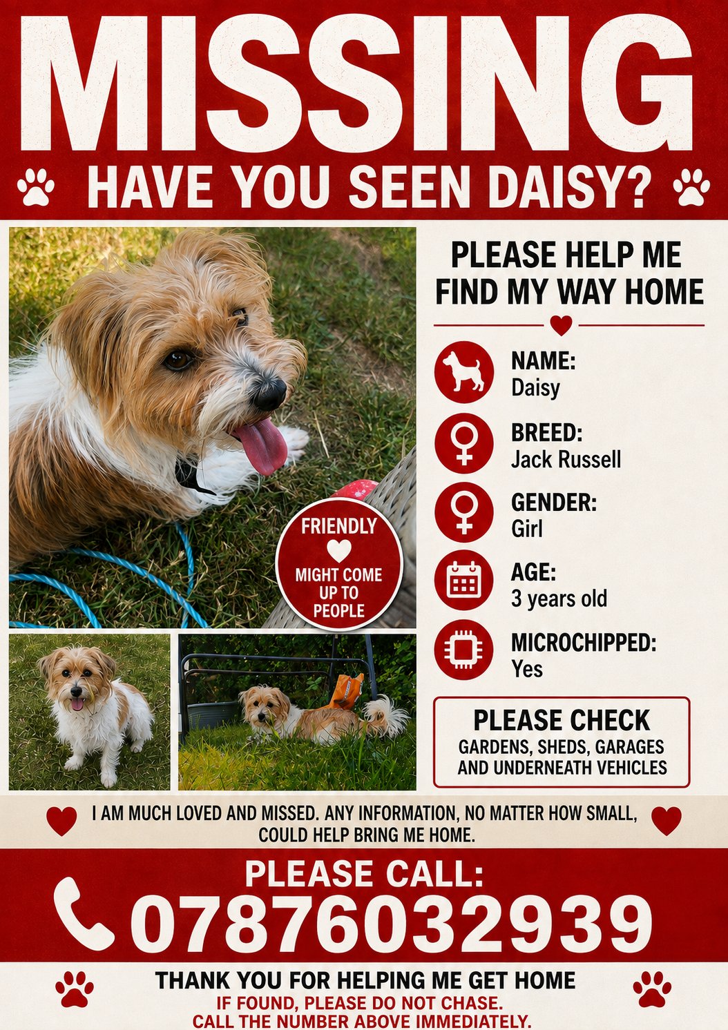Daisy