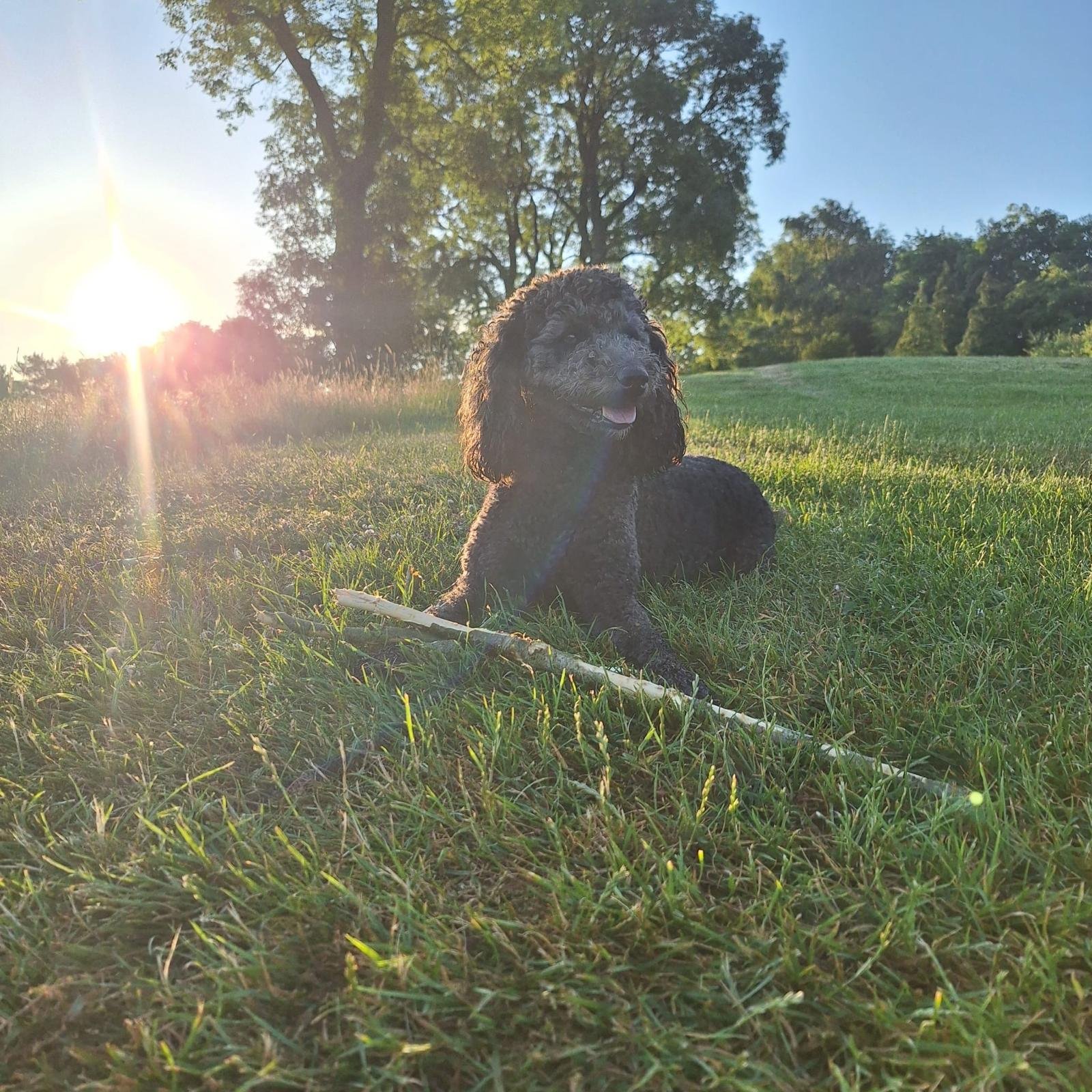 Maggie