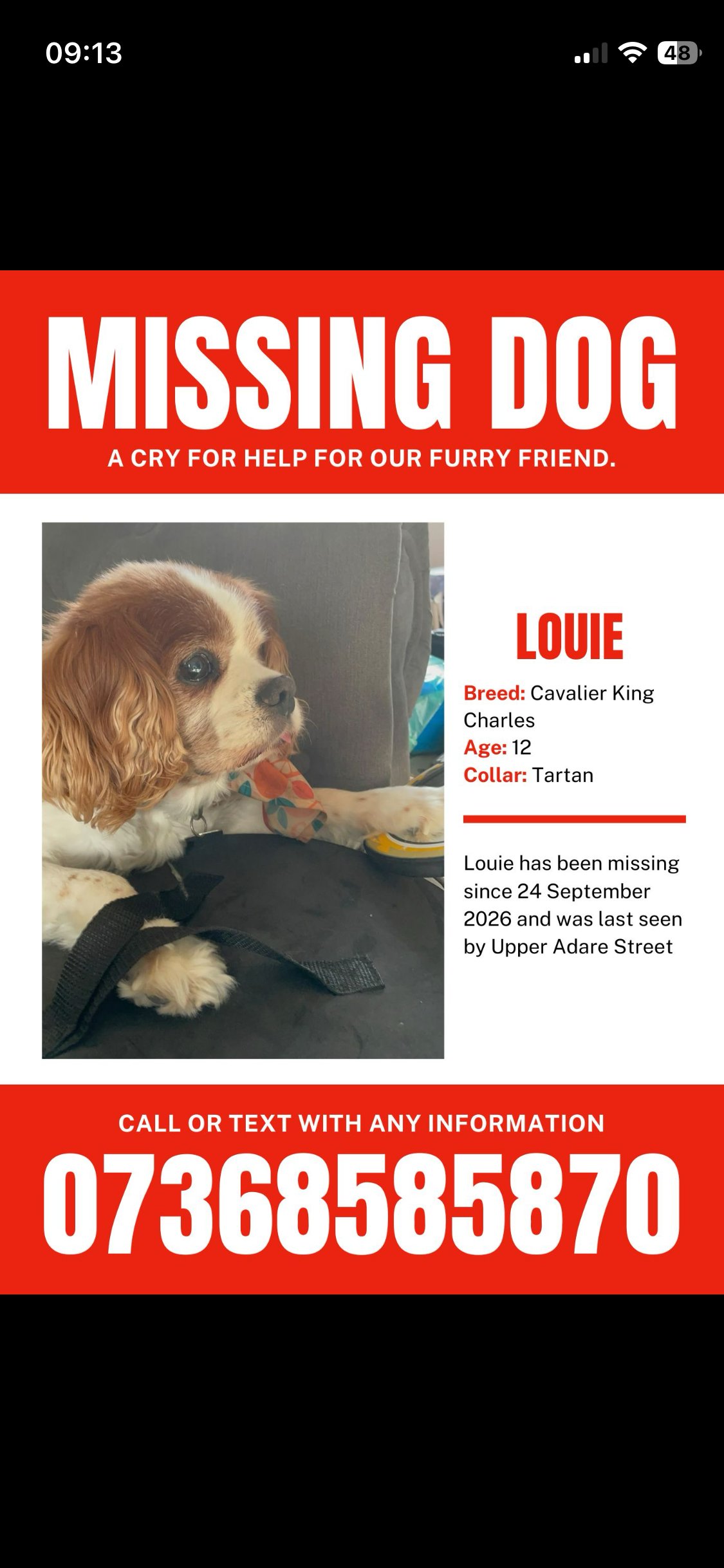 Louie
