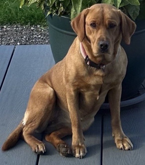 Ruby