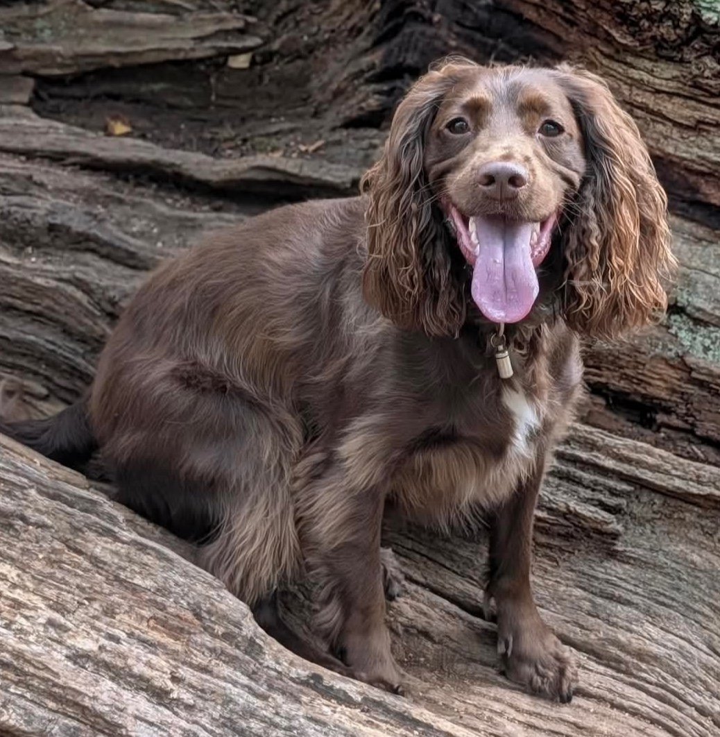 Max