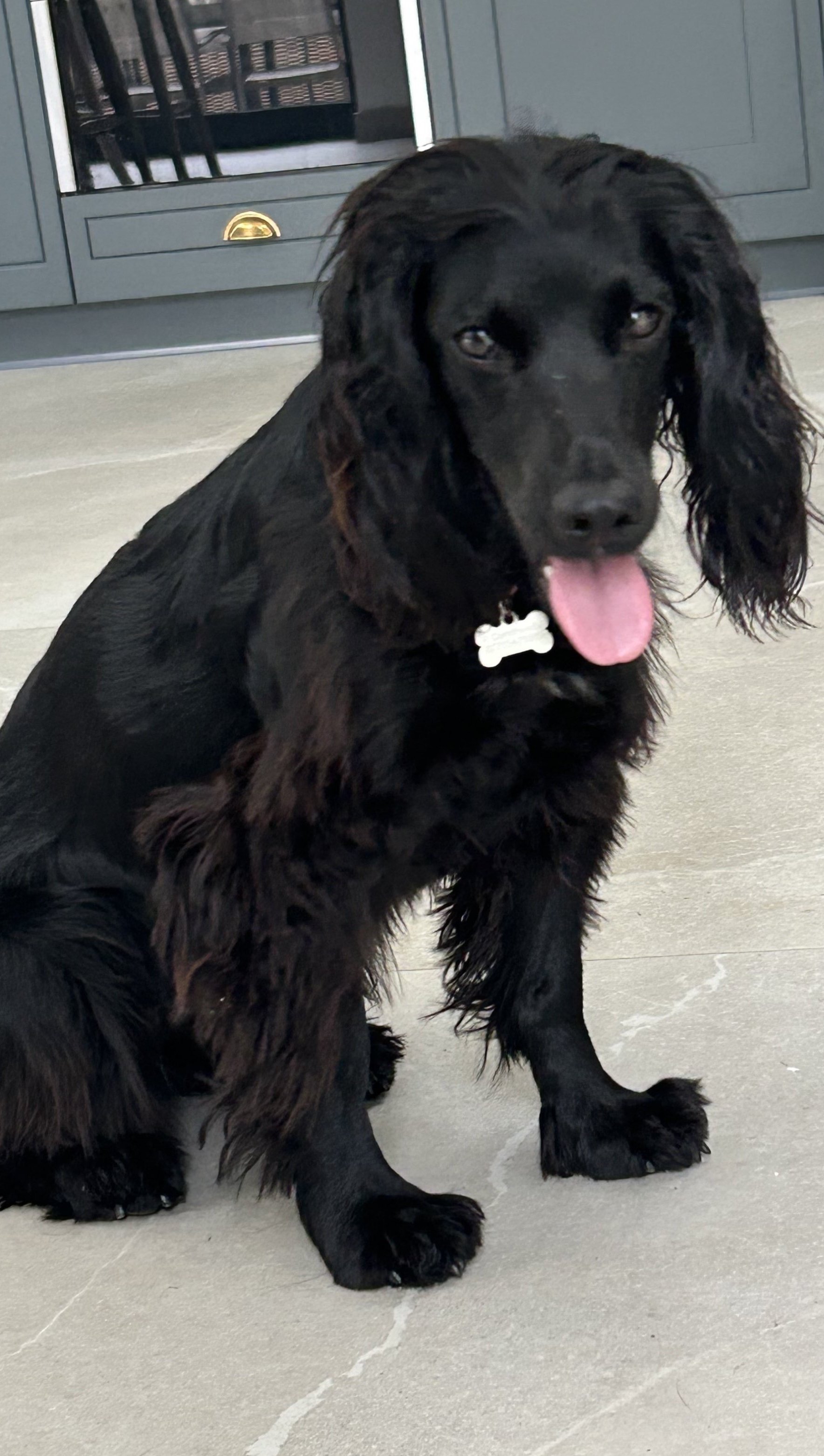 Rosie