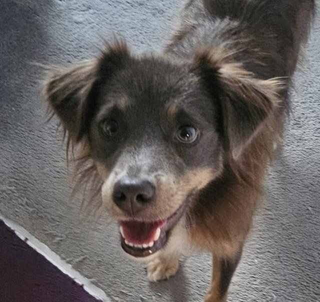 Coco