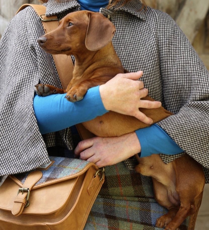 Bertie