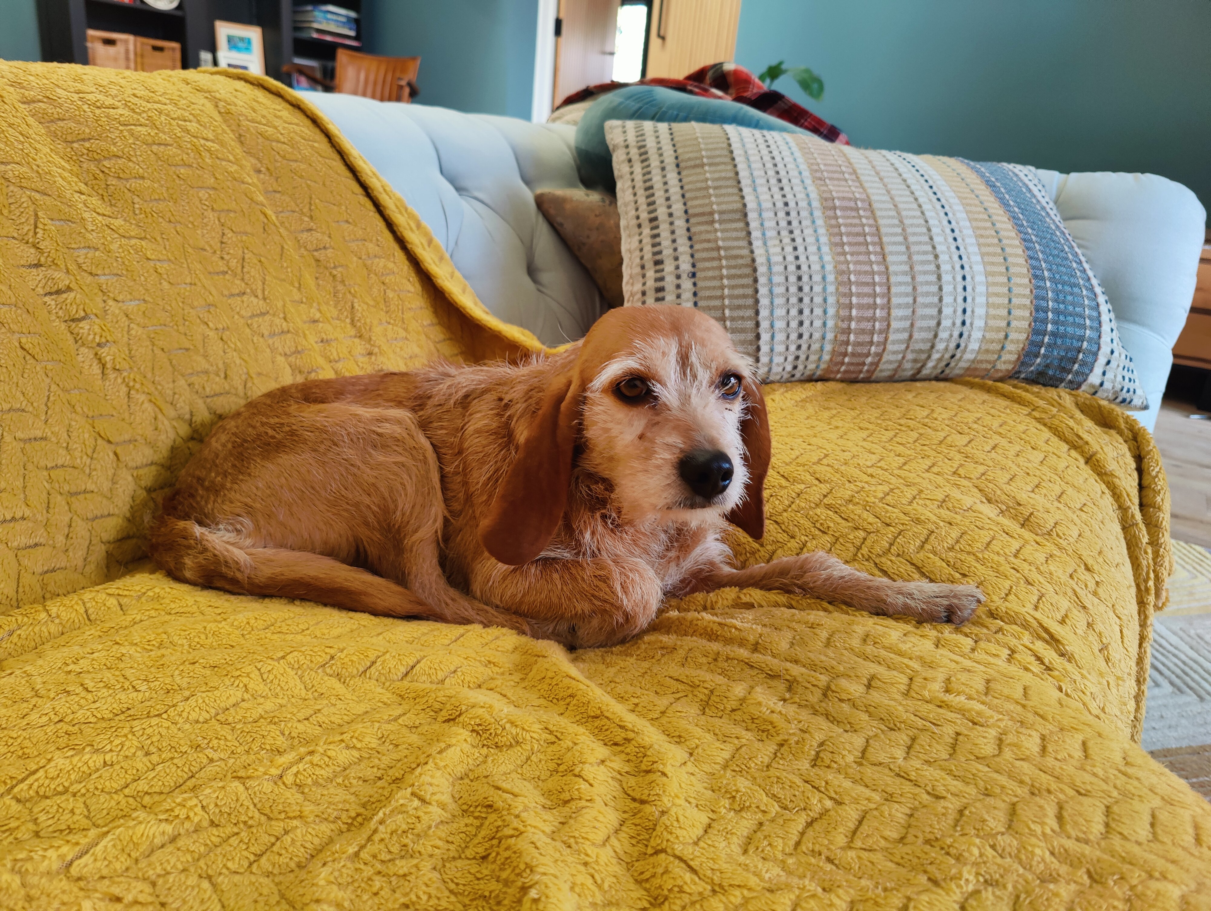 Coco