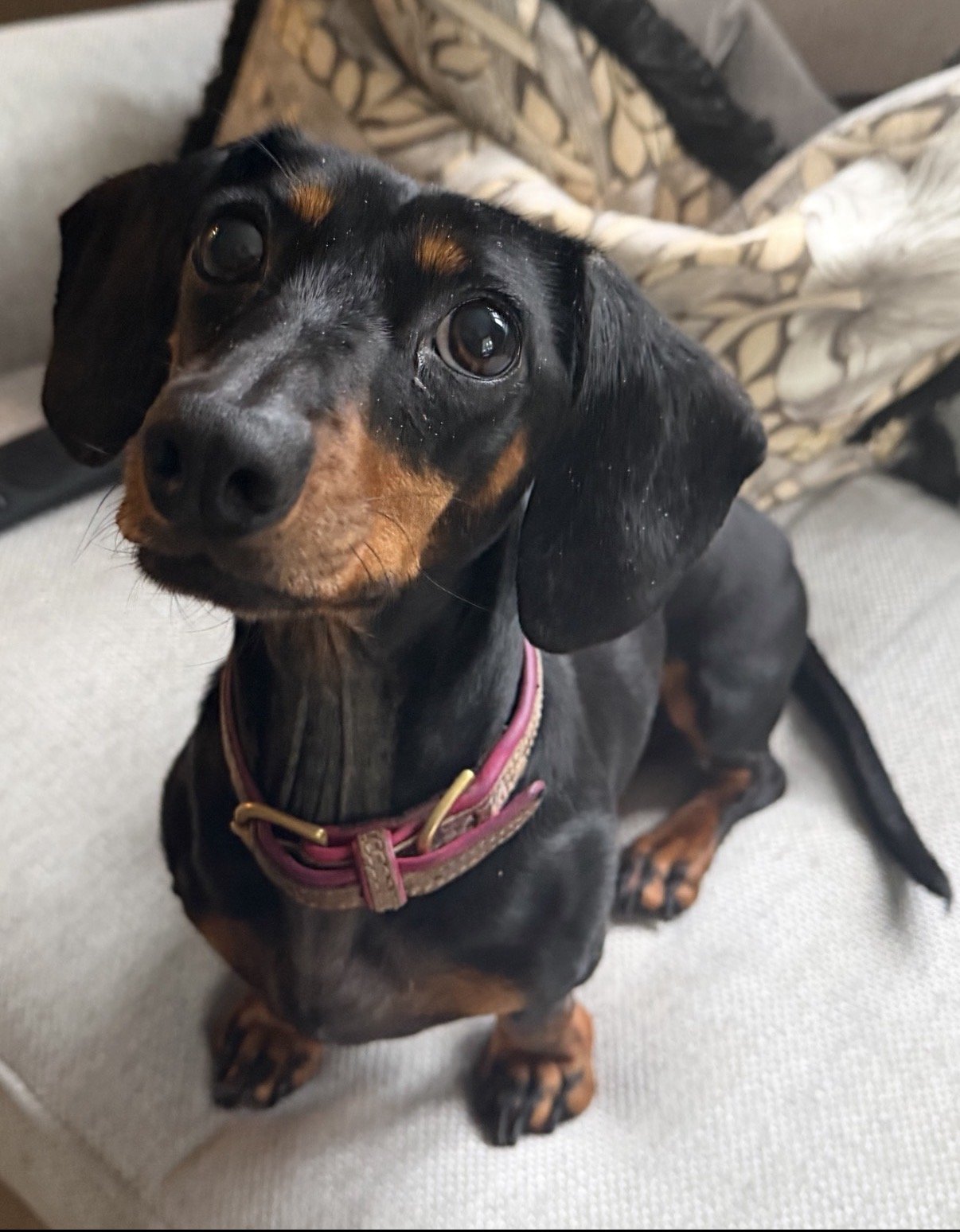 Coco