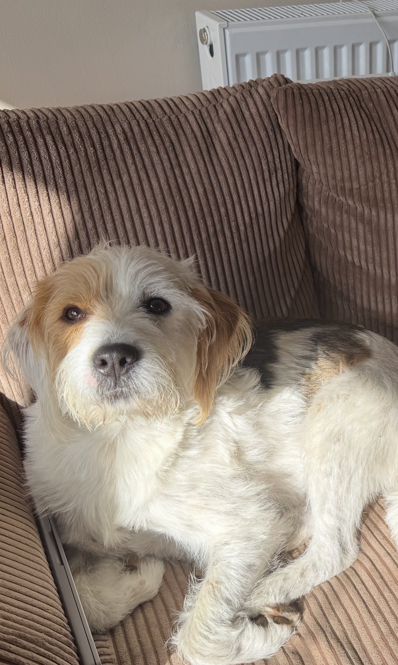 Wally